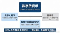 数字货货币是什么?跟比特币和数字人民币啥区别,一次讲明白
